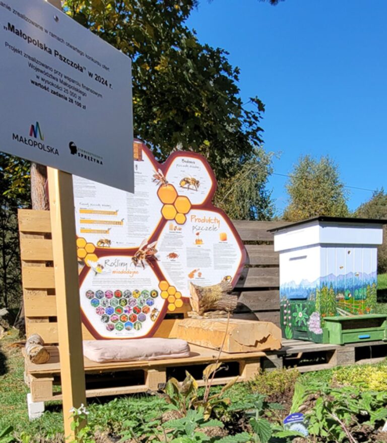 Pszczoła w Pieninach, na Spiszu i Podhalu – edukacja w Ekomuzeum Dziedziny Dunajca